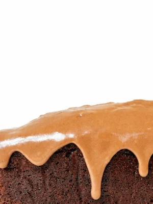 Bizcocho de chocolate con cobertura de avellana y cacao.